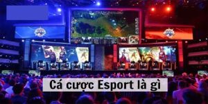 Cá cược Esport là gì?